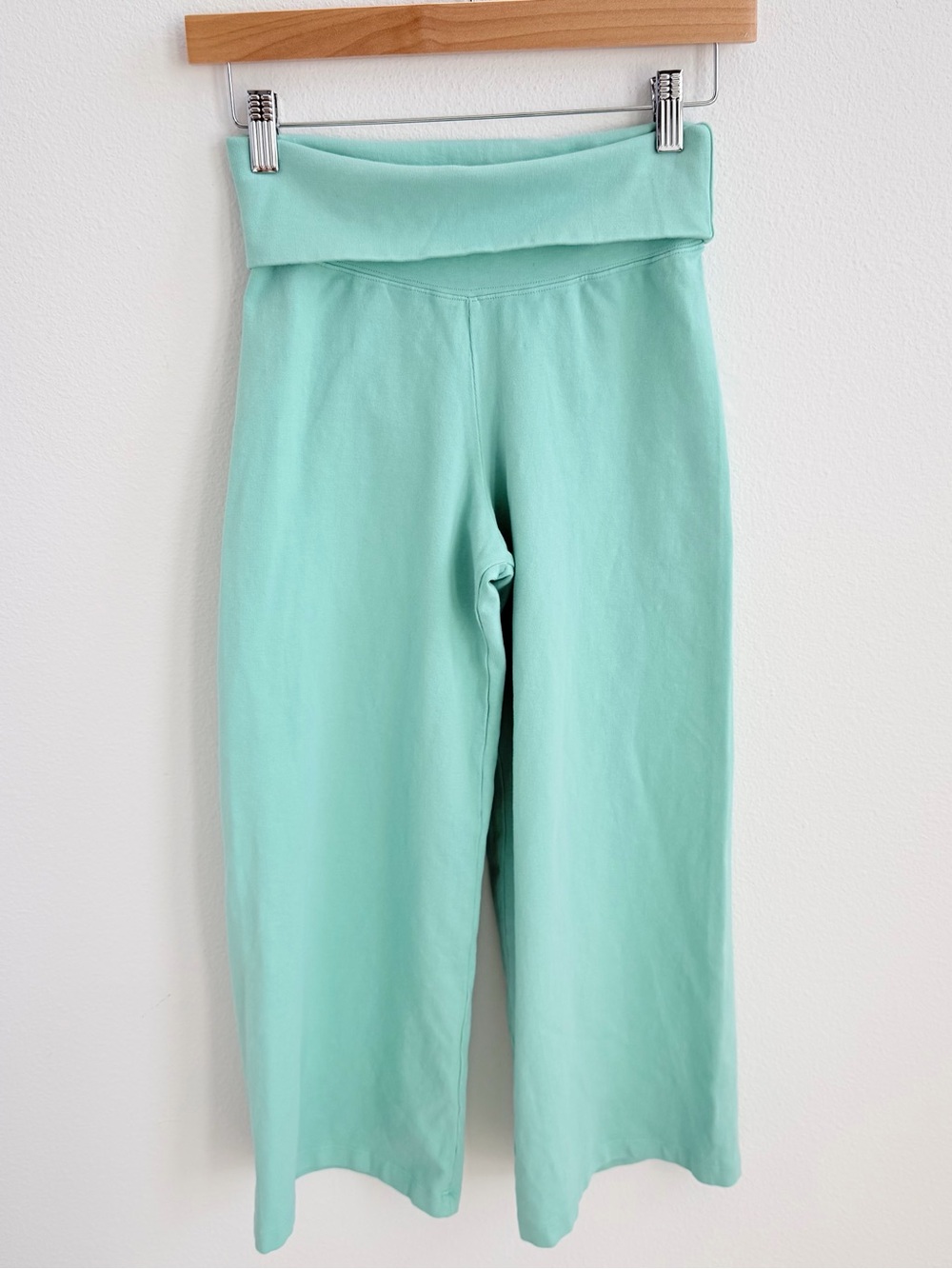 Brandy melville Teal capri Priscilla pants